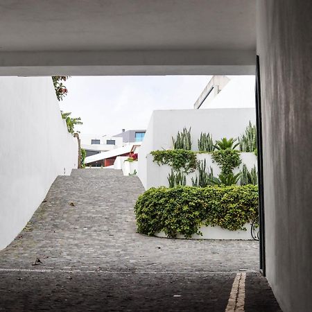 Sao Miguel Charming House By Lfc Apts Ponta Delgada 외부 사진